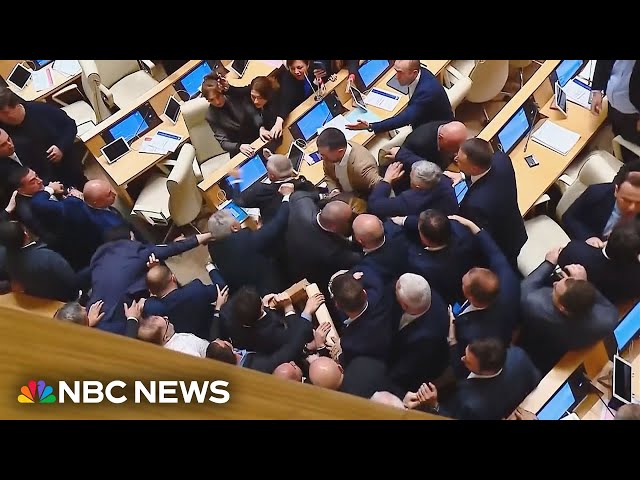 Georgia’s ‘foreign agent’ law sparks brawls inside and outside parliament