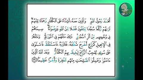 سورة الفتح 29 مكررة