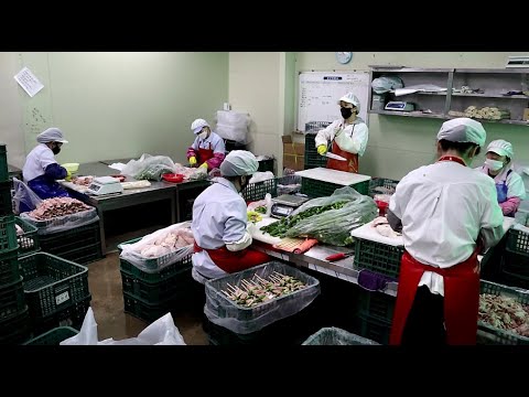 역대급 판매량! 닭꼬치,닭강정 대량생산 현장,참진푸드,빠샤 닭꼬치 / chicken skewers mass production process - Korean street food
