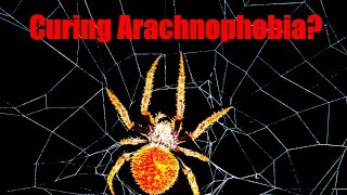 Did I cure Arachnophobia? ft. @MyWildBackyard