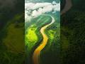 আমাজন নদী | Amazon River | The Largest River। Beautiful World Bangla #amazonriver #amazonforest