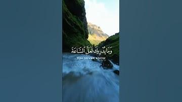 #قران_كريم #حالات_واتس #حالات_واتس_اب_دينيه #راحة_نفسية #استغفر_الله #سورة_الأحزاب