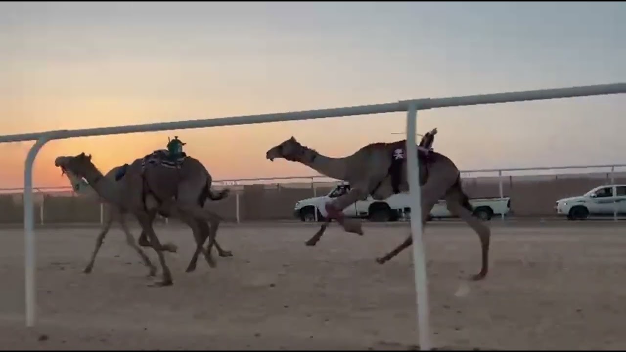 القناصه لـ عبدالله أحمد البلوي 