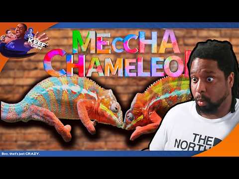 I played the game that sold 15,000,000 copies| MeccHa Chameleon