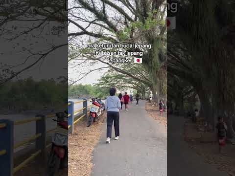 #fyp #tiktok #youtubeshort