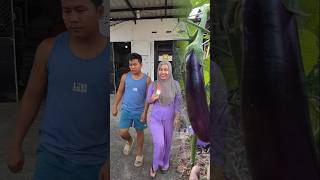 Tunjuk Pake Telunjuk Ajaib