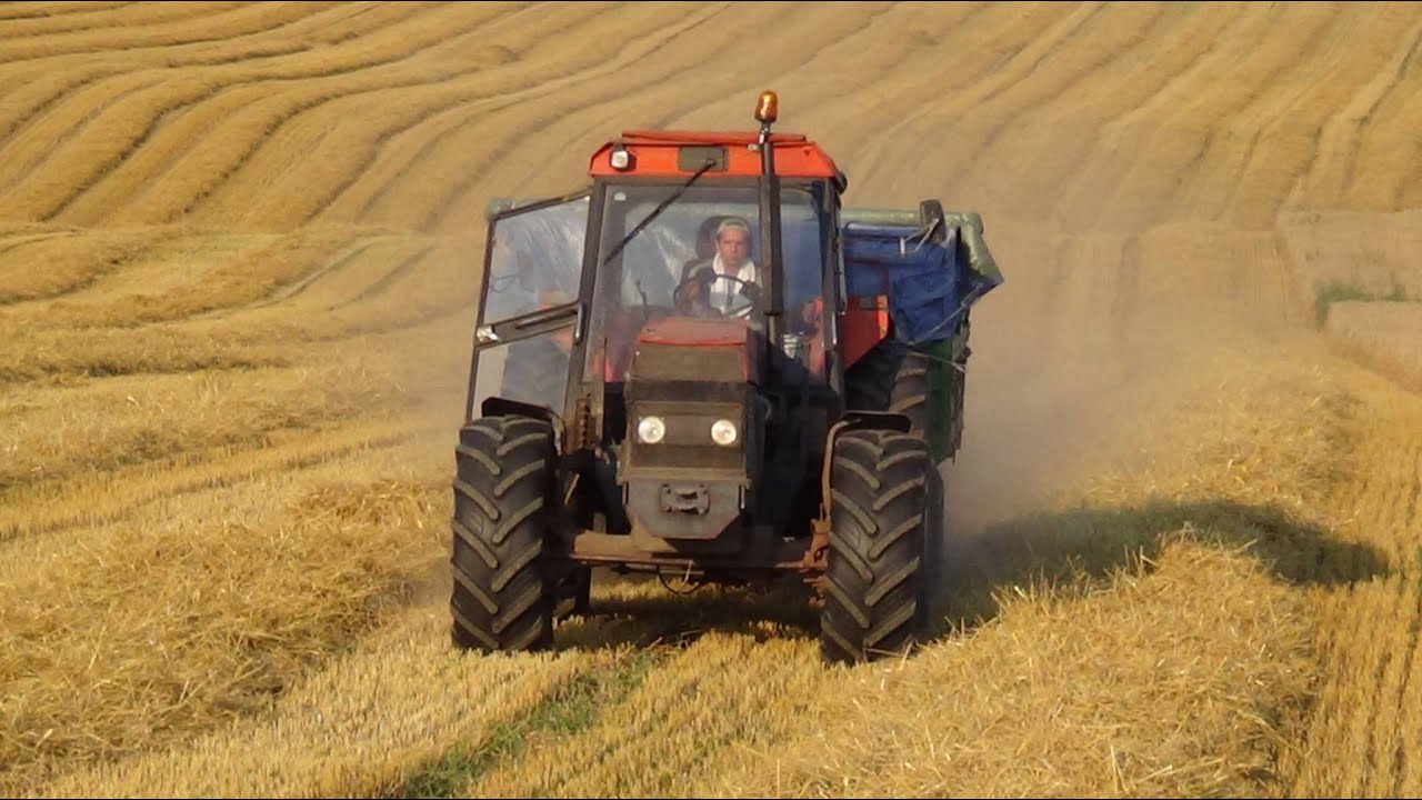 Żniwny Okres 2014 w IUNGU  Werbkowice ||John Deere 1170||Ursus||McCormick|| /Mafia Lubelskie