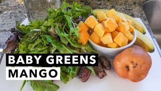 Green Smoothie Recipe #2 (from 30-Day Green Smoothie Challenge for Busy People)