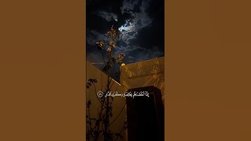 القارئ: محمد النقيدان🤍