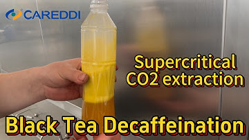 Black tea decaffeination by Careddi supercritical co2 extraction machine