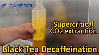 Black tea decaffeination by Careddi supercritical co2 extraction machine