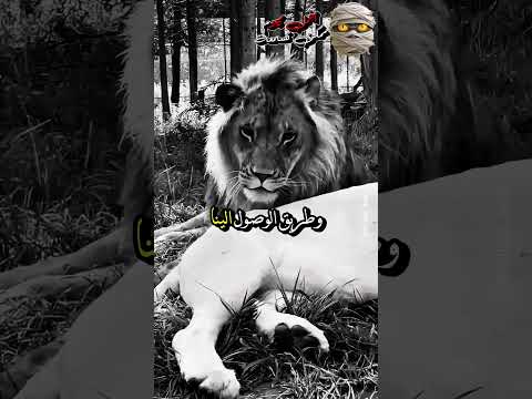 نحن لانقترب بالأجبار حكم خواطر حالات واتس خواطر ملهمة حكم وأقوال كلام من ذهب