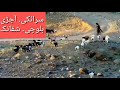 Learn balochi   saraiki balochi bol chal  balochi urdu bol chal