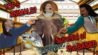 Allston Melees Top 5 Animal - Allston Melee Podcast