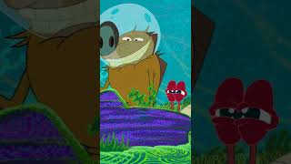 #Shorts 🔶 Zig & Sharko - The best singers 🤩🎤