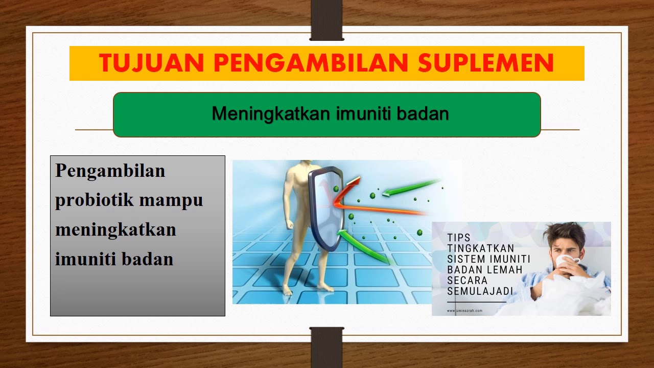 Pjkp Ting 4 Suplemen Youtube