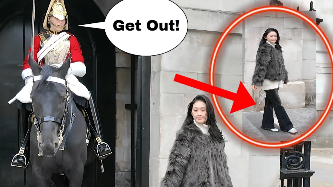 She walks straight inside the box and then gets what she deserves!