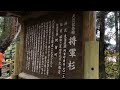 日本で一番大きい 杉の木(樹齢1400年)将軍杉!樹高40m幹周り19.31m