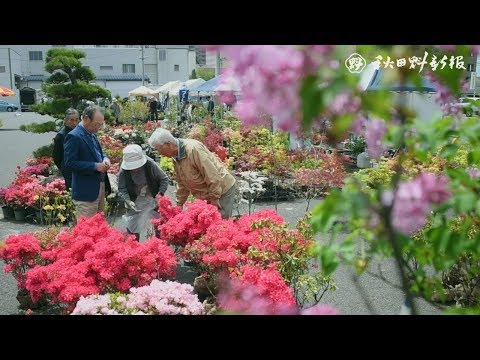 大町市 イベント情報