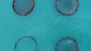 Ordu Kumbaşi Balik Havuzlari Havadan Çeki̇m Drone Görüntüleri̇