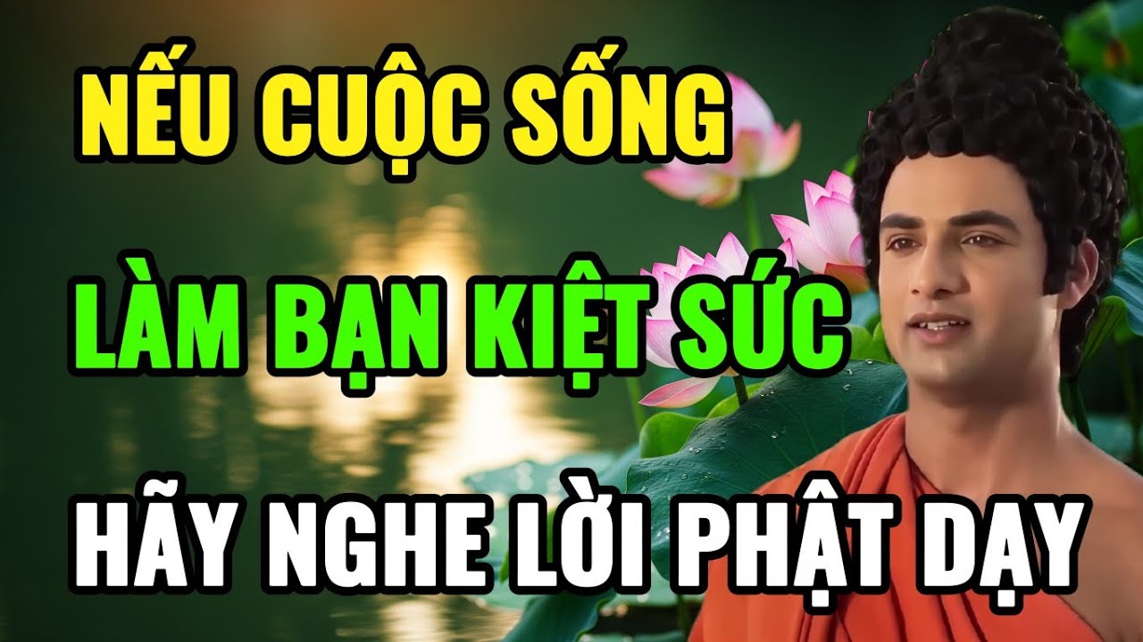 Nếu Cuộc Sống Làm Bạn Kiệt Sức, Hãy Nghe Lời Phật | Bài Giảng Chữa Lành Giúp Tâm An Giữa Đời