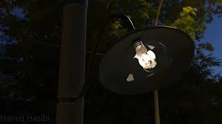 Bulb Explosion