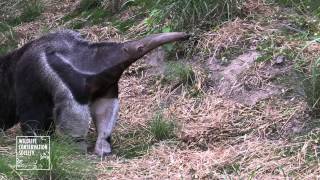 Bronx Zoo Children's Zoo Reopening