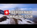 Hiking at the Mount Rigi Seebodenalp to Ruedisegg | Swiss Mountain 4k 60fps