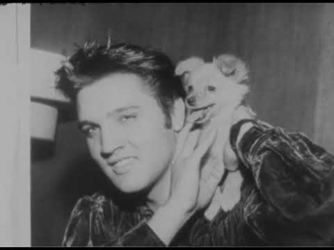 Elvis Presley, D16, Drew Pearson Films, Washington Merry-Go-Round.