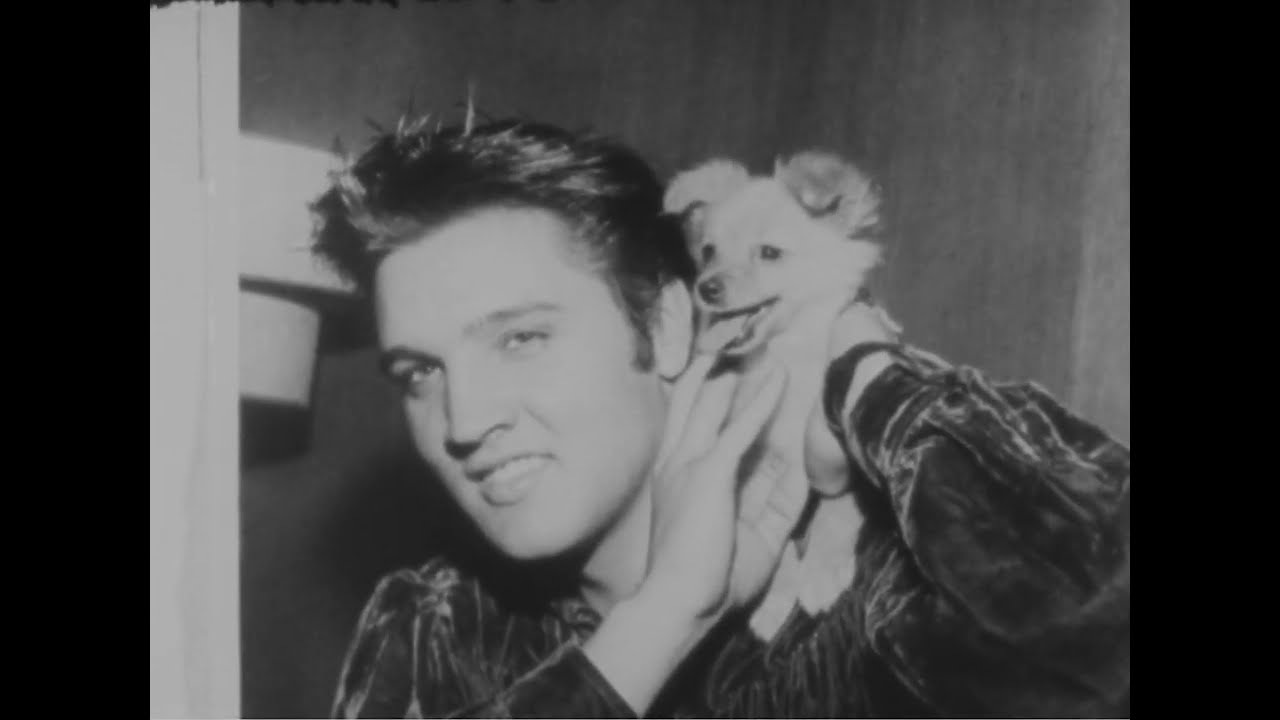 Thumbnail for Elvis Presley, D16, Drew Pearson Films, Washington Merry-Go-Round.