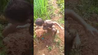 Download Lagu Mari berkebun dan bermain MP3