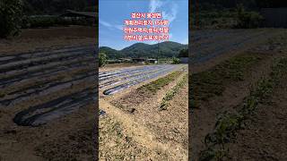 #경산토지매매#경산땡매매#용성면토지매매#용성면땅매매#부동산#경산행운부동산
