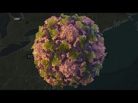 Hundreds of people in New York have gotten polio - WUSA9