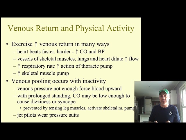 Local Blood flow regulation