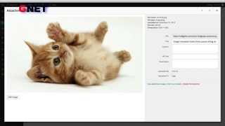 WordPress Tutorials: How To manage the Image Editor