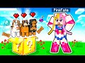 MINECRAFT PERO LAS LUCKY SON SOLO DE PERROS *INCREÍBLE* MINECRAFT PERO LAS LUCKY SON SOLO DE PERROS *INCREÍBLE*