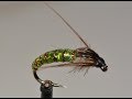 The Serial Killer Caddis pupa