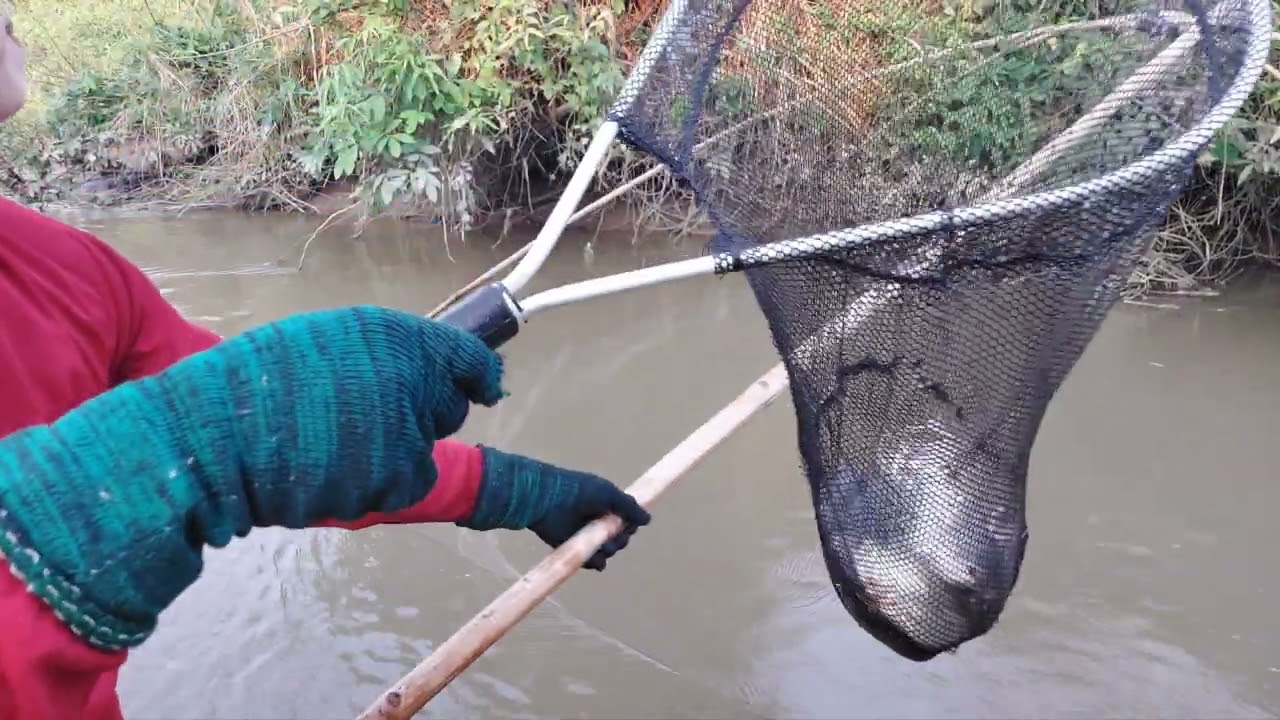 @ยกยอ#น้ำแห้งได้เต็มเปลอยู่จ้าว#By..จ้าวป้า.Ep.260