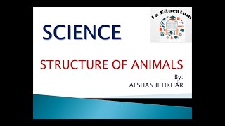 Structure Of Animals