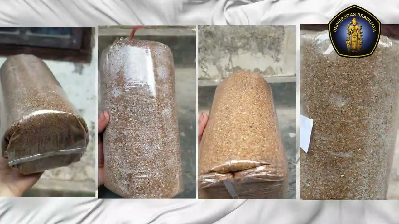 Analisis Performansi Mesin Steamer Baglog Jamur Tiram - Mahasiswa Membangun Desa Doktor Mengabdi