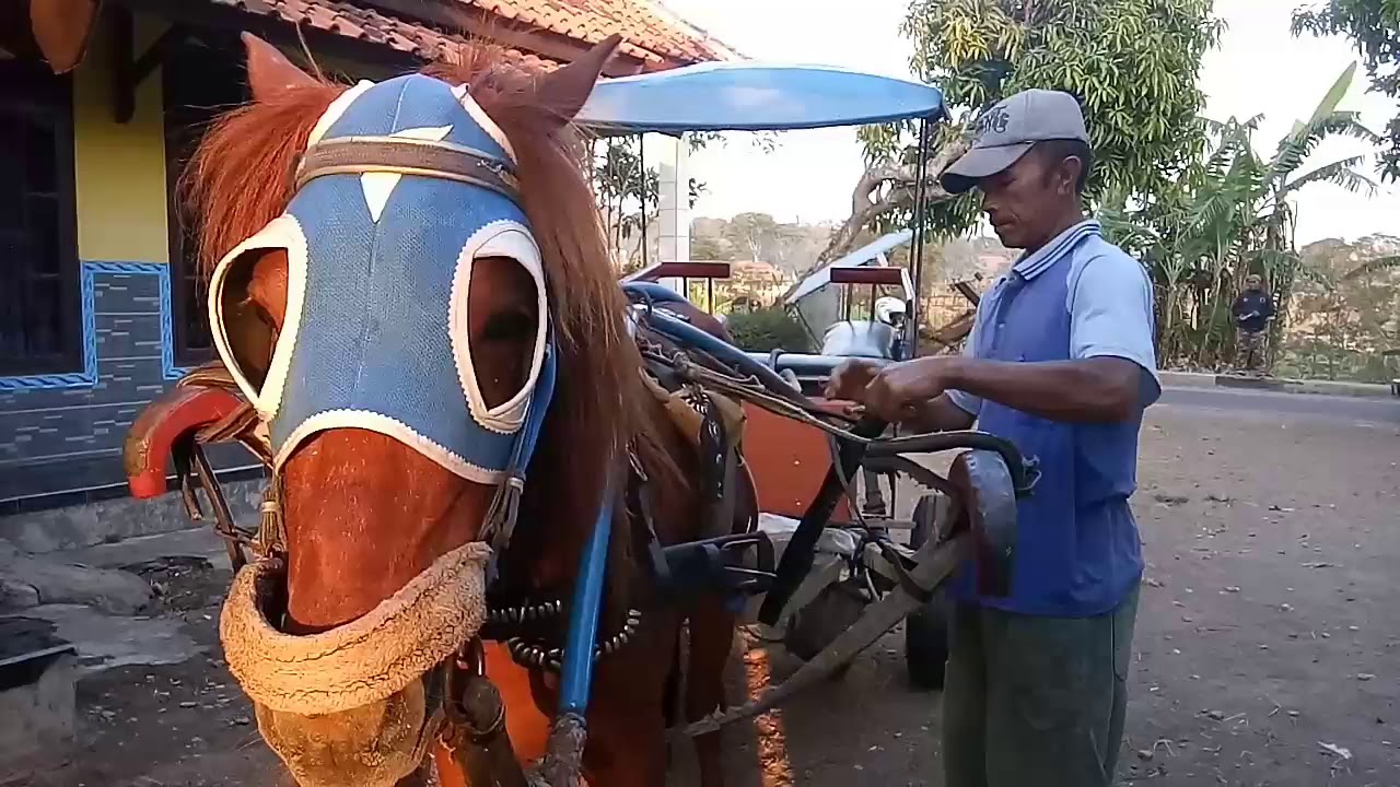 DELMAN KUNINGAN TERKUAT