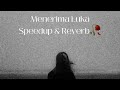 Menerima Luka - Natasya Sabella || SpeedUp&Reverb Audio