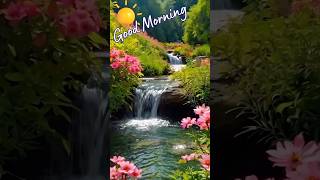 Good Morning🌼 Morning  nature✨Start a new day brightly🔅Spring Melody