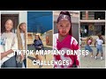 AMAPIANO DANCES CHALLENGES 2025