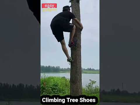easy gadgets, tree