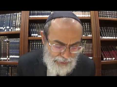 Bekhorot 22b - Youtube