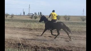 ЖОРҒА ЖАРЫС БЕСҚАРАҒАЙ