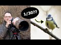 Shutter Speeds for Small Bird Photography - The Shutter Speed Challenge! (DSLR)