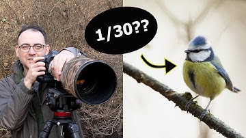 Shutter Speeds for Small Bird Photography - The Shutter Speed Challenge! (DSLR)