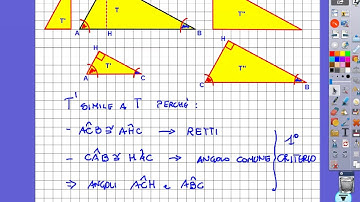 video lezione i teoremi di Euclide